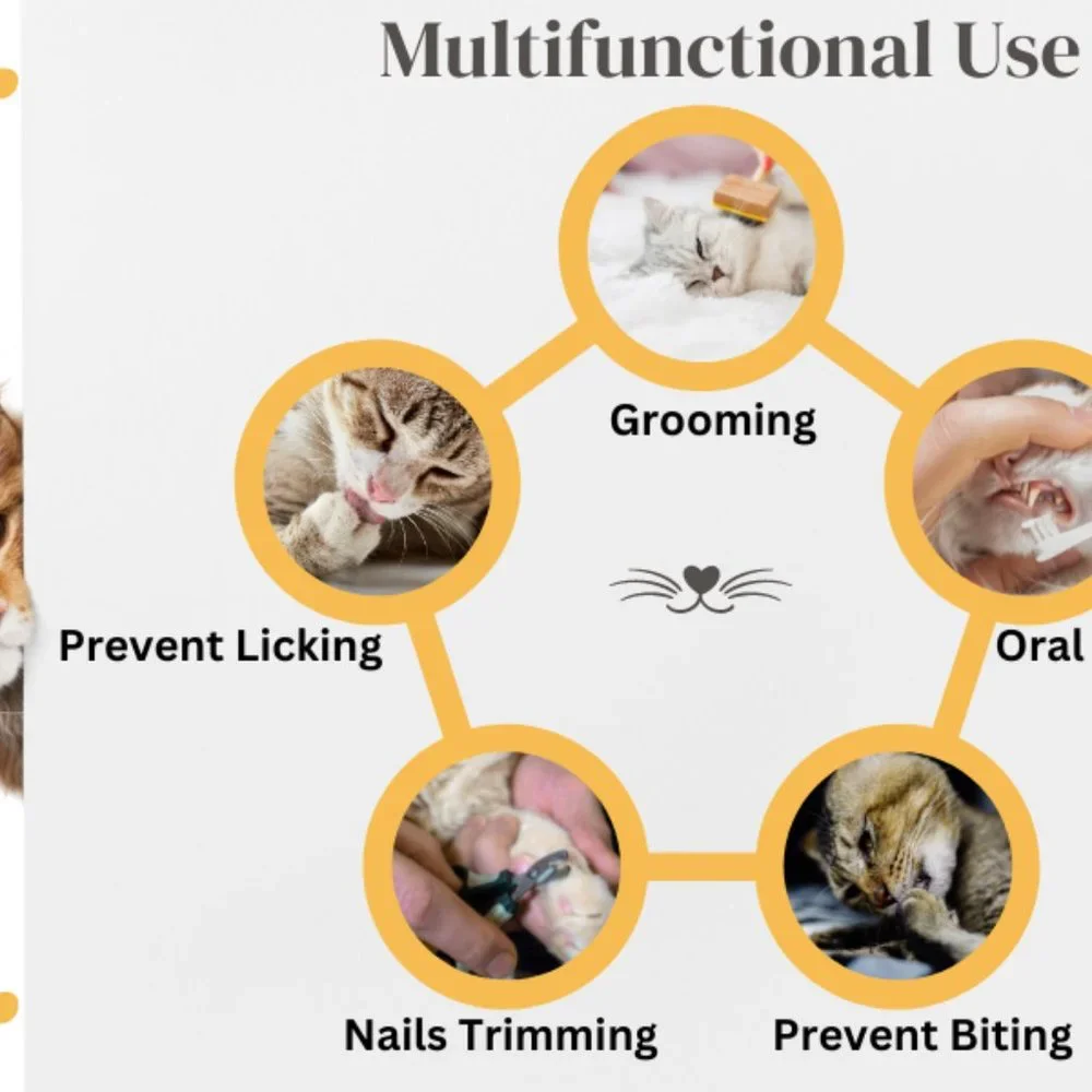 Soft Cat Cone Collar, for Small Kittens Young Cats, E Collar for Cats, cat cone
